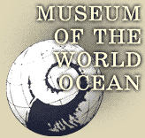 Museum of the World Ocean